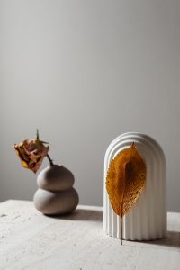 Kaboompics - Dried Leaf and Rosebud Still Life with a Sculptural White Vase
