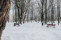 Kaboompics - Red Park Bench Beside a Snowy Path Under Bare Trees
