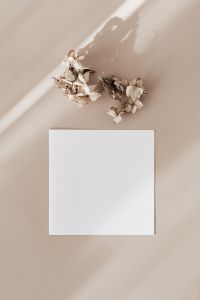 Kaboompics - Blank Card Mockup with Dried White Flowers on Beige