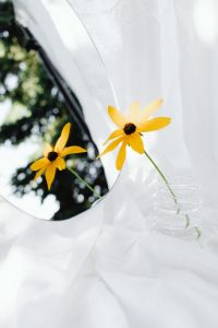 Kaboompics - Sunlit Yellow Flowers and Mirror Reflection in Glass Vases