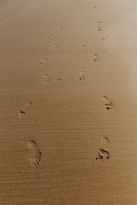 Kaboompics - Footprints on a sandy beach, Portugal