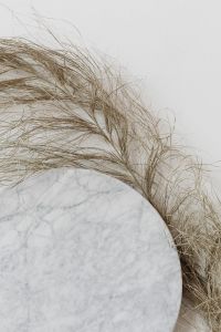 Kaboompics - Dried Pampas Grass Draped Over White Marble for Neutral Interior and Branding Backgrounds