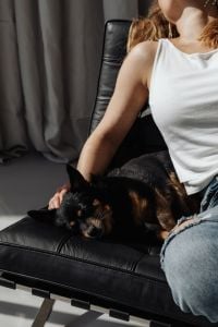 Kaboompics - Woman Petting a Black Dog Resting on a Leather Chair