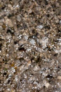 Kaboompics - Natural Pebble Beach Texture with Shimmering Water Highlights