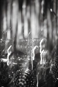 Kaboompics - Black and White Champagne Glasses and Disco Ball Decor