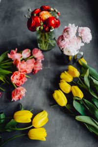 Kaboompics - Colorful Vases and Tulips on Gray Background