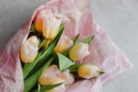 Kaboompics - Blush and Yellow Tulips Wrapped in Pink Paper for Floral Shop Campaigns