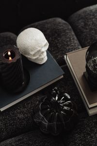 Kaboompics - White Skull and Black Pumpkin on Dark Armchair