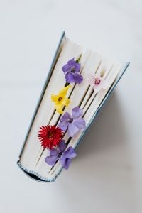 Spring Flower and Open Book Still Life for Reading, Editorial and Lifestyle Content