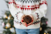 Kaboompics - Close-Up of Pine Cone Held in Hands