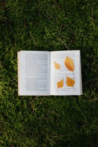 Kaboompics - Vertical Nature Reading Flat Lay with Open Book and Pressed Leaves on Moss