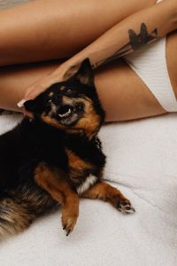 Kaboompics - Woman Petting Her Dog on a White Towel, Summer Lifestyle