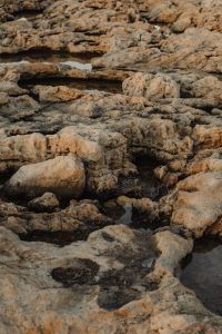 Kaboompics - Tide Pools and Uneven Rock Formations Along the Shore