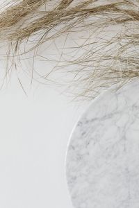 Dried Pampas Grass Crossing White Marble for Minimal Wallpaper and Editorial Design