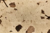 Kaboompics - Backlit Botanical Paper Texture