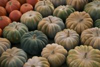 Kaboompics - Colorful Heirloom Squash in Muted Autumn Tones