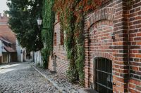 Kaboompics - Old building covered in vine
