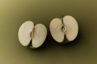 Kaboompics - Three Apple Halves on Olive Green Background