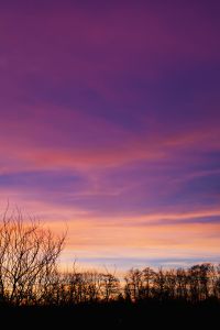 Kaboompics - Orange Sunset Light over the Polish Landscape