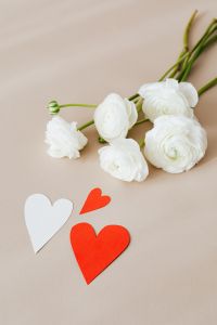 Kaboompics - White Ranunculus with Paper Hearts and Copy Space