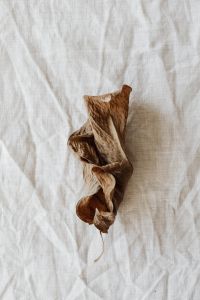 Kaboompics - Close-Up Dried Brown Leaf on Linen, Textured Neutral Botanical Still Life
