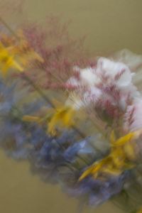 Kaboompics - Motion-Blurred Blue Yellow and Pink Flowers