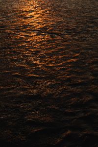 Kaboompics - Copper Sunset Glints on Rippling Dark Water