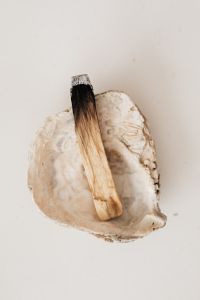 Kaboompics - Palo Santo Stick on a Textured Shell Dish, Minimal Beige Still Life