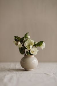 Kaboompics - White Floral Arrangement in Ceramic Vase with Neutral Wall Copy Space