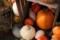 Kaboompics - Orange and White Pumpkins Stacked in a Wooden Crate