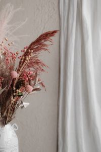 Kaboompics - Dried Pampas Arrangement With White Curtain Negative Space