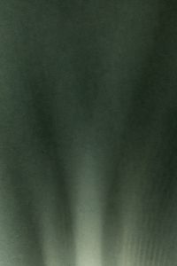 Kaboompics - Dreamy Sage Green Light Reflection Wallpaper