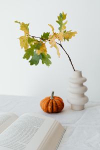 Kaboompics - Sculptural White Vase with Golden Oak Branch and Mini Pumpkin