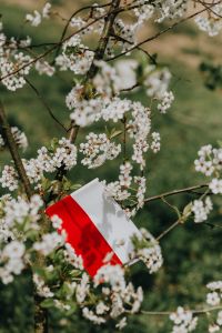 Kaboompics - Flag of Poland - Polska Flaga