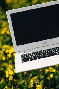 Laptop computer, mobile phone and spring rapes field