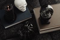 Kaboompics - Skull Black Pumpkin and Books on Sofa