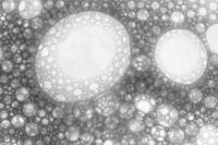 Kaboompics - Two Oversized White Foam Bubbles on Dark Liquid, Abstract Macro Texture