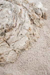 Kaboompics - Chalky White Limestone Wall with Shallow Pits and Soft Gray Coastal Stone Texture