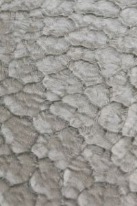 Kaboompics - Vertical Close-Up of Pale Glass Texture with Repeating Pattern