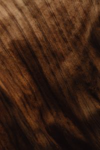 Kaboompics - Fine Vertical Veins on a Brown Banana Leaf