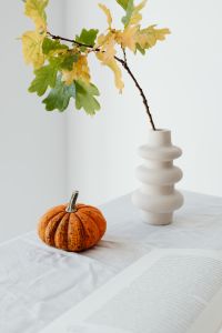 Kaboompics - Orange Pumpkin Oak Branch and Open Book Autumn Still Life