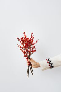 Isolated Christmas Props on White Background: Gift Bags, Ornaments, Winter Greenery and Treats
