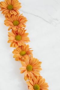Kaboompics - Golden Chrysanthemums Along Left Edge with Marble Copy Space