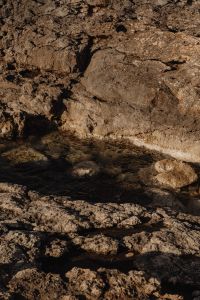 Kaboompics - Close-Up of Rough Golden Coastal Rock Texture
