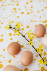 Kaboompics - Three Easter Eggs on a Yellow Blossom Background