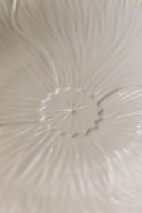 Kaboompics - White Ceramic Plate Macro with Scalloped Center, Ribbed Texture and Wood Background