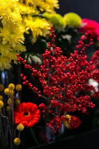 Kaboompics - Red rowan with a colourful arrangement of flowers