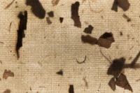 Kaboompics - Handmade Paper With Plant Fragments