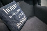 Kaboompics - Pillow with a motto