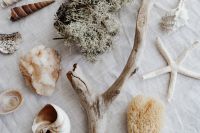 Kaboompics - Close-Up Driftwood Branch with Seashells, Coral and Starfish on White Linen